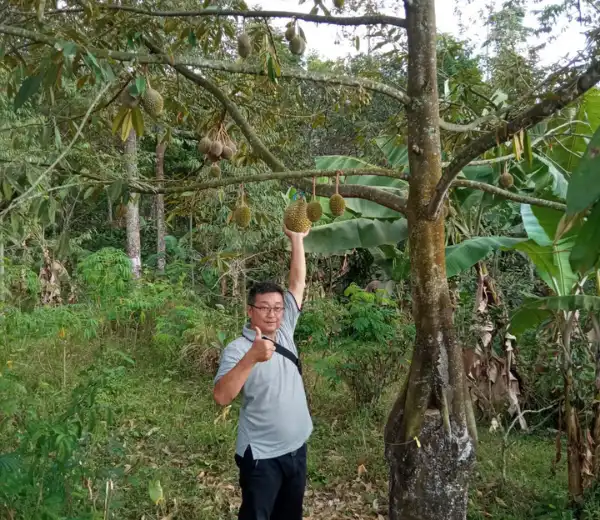 PUPUK CAIR DUREN